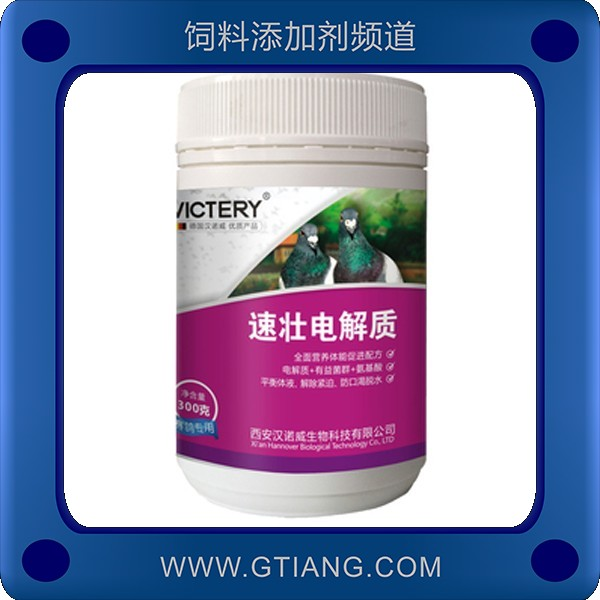 速壯電解質(zhì)-漢諾威速壯電解質(zhì) 補充營養(yǎng)強壯體能